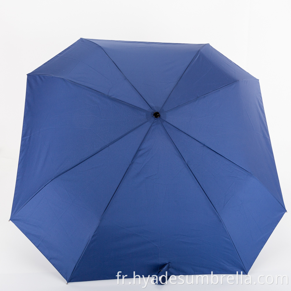 Best Collapsible Umbrella